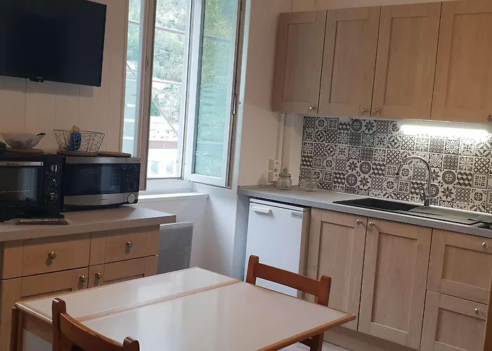 Renove Central, A 50 M Du Telecabine, 2-4 Pers - Fr-1-234-293 Lägenhet